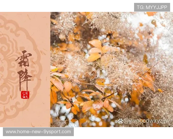 冬窗风向已初显端倪